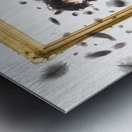 Framing a paradigm Metal print