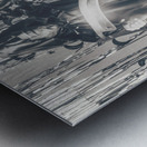 Deaths dance Metal print