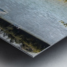 Tranquil River Boardwalk Metal print