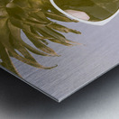 Smoothie Metal print