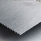 Feathery Metal print