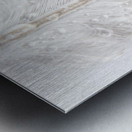 Waterproof Metal print