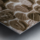 Corksortium Metal print