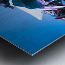 Seafearing Metal print