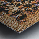 Horse gala Metal print