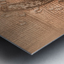 Rustic luck Metal print