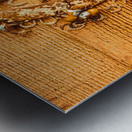 Around horseshoe track Metal print