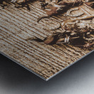 Rusty cup Metal print