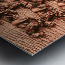 Racing lineup Metal print