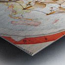 Captains stock Metal print