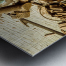 Country fuels Metal print