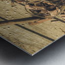 American oak Metal print