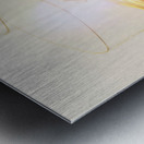 Three time Metal print