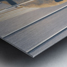 Paints and puppets Metal print