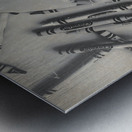 Artiquity Metal print