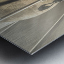 The cleanup crew Metal print