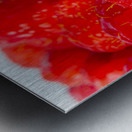 Berry moderns Metal print