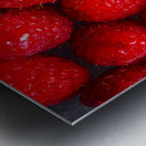 Summer reds Metal print