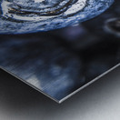 Berry detailed Metal print