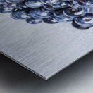 Blueberry bunch Metal print