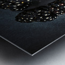 Blackberries on black Metal print