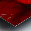 Raspberry macro Metal print