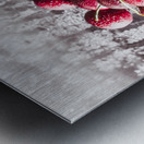 Delicious summer Metal print