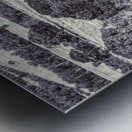 Grasslands Metal print