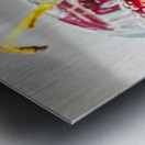 Cherrini Metal print