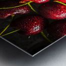 Cherry reds Metal print