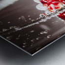 Cherry fizz Metal print