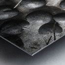 Cherry picked Metal print