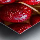 Cherry closeups Metal print