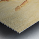 Head first Metal print