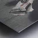 Tailor And Stitch Metal print