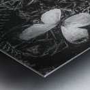 Desimilation  Metal print