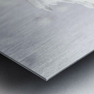 Serenity and grace Metal print