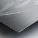 On a porcelain pedestal Metal print