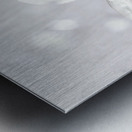 White swan Metal print