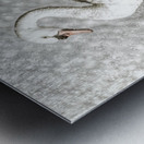 In the mist of rains Metal print