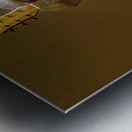 The Stage Poet Metal print