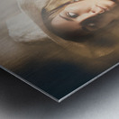 In Mist And Verse Metal print