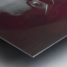 Hot Tropics Metal print