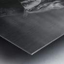 Noir Detecting Metal print