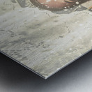 Royal Winters Metal print