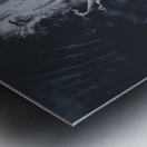 Coronation Of Webs Metal print