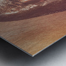 Veiled Gypsy Metal print