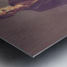 Shimmering Elegance Metal print