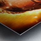 The Princess Muse Metal print