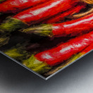 Pepper And Twine Metal print